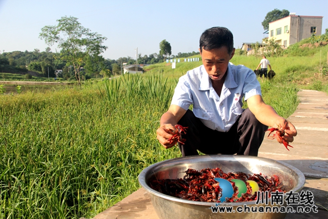 瀘縣：產(chǎn)業(yè)扶貧激活“造血”功能  吉祥村成幸福村(圖3)