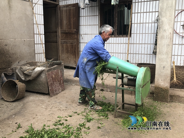 瀘縣方洞鎮(zhèn)：養(yǎng)豬“明星”陳開銀走上脫貧致富路
