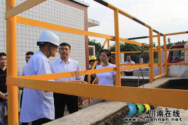 肖剛到瀘縣云龍鎮(zhèn)督導河長制工作(圖4)