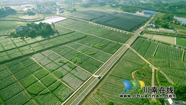 瀘州董允壩、中國(guó)沈酒莊晉升為國(guó)家4A級(jí)旅游景區(qū)(圖1)