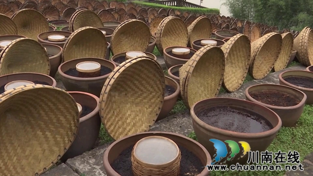合江先市醬油釀造基地：鄉(xiāng)村文化地成旅游打卡新熱點(圖1)