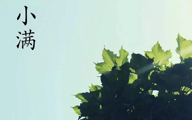 【警惕】今天起，這三類東西一定要忌嘴？(圖3)