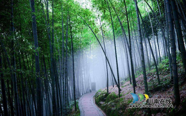 福利來(lái)了！瀘州宜賓江津景區(qū)聯(lián)手惠民：上萬(wàn)張門(mén)票免費(fèi)送！(圖3)