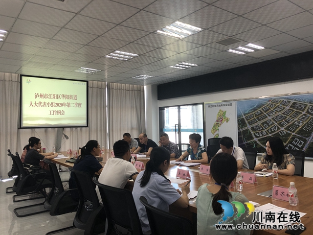 江陽(yáng)區(qū)華陽(yáng)街道人大工委組織區(qū)人大代表開(kāi)展集中調(diào)研視察活動(dòng)暨2020年第二季度工作例會(huì)