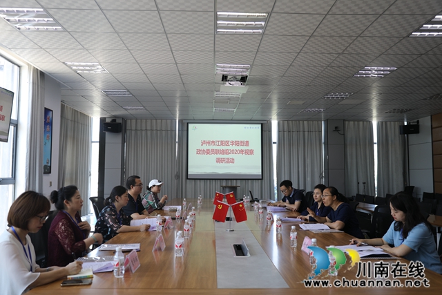 江陽區(qū)華陽街道政協(xié)委員聯(lián)絡(luò)組開展2020年視察調(diào)研活動(圖3)