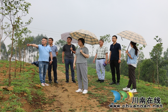 陳佳到瀘縣潮河鎮(zhèn)督導(dǎo)脫貧攻堅(jiān)工作(圖3)