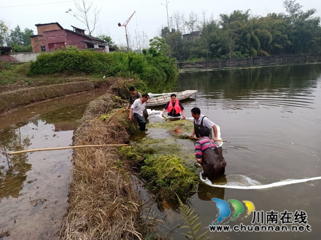 瀘縣云龍鎮(zhèn)：河道治理綜合施策，清河護(hù)岸持續(xù)加力(圖3)