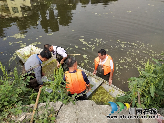 瀘縣云龍鎮(zhèn)：河道治理綜合施策，清河護(hù)岸持續(xù)加力(圖5)