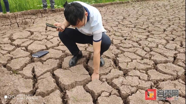 全力抗旱！自貢榮縣40天降水僅23.4毫米(圖2)