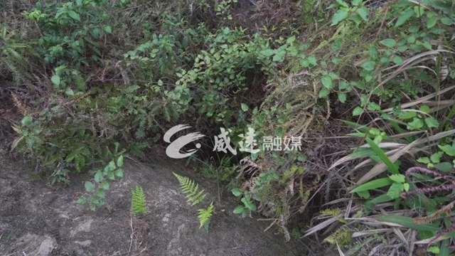 驚呆了！千年前，內(nèi)江這里就有一條川南通成都的“高速路”(圖10)