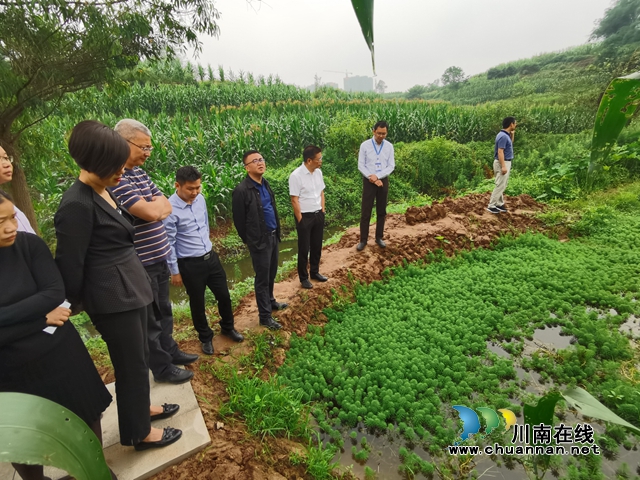 梁中元率隊(duì)到瀘縣立石鎮(zhèn)調(diào)研龍溪河河長(zhǎng)制工作(圖2)