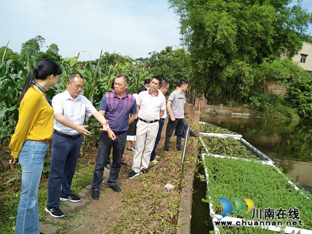 瀘州市農(nóng)業(yè)農(nóng)村局巡查瀘縣水產(chǎn)養(yǎng)殖污染整治及河長制工作