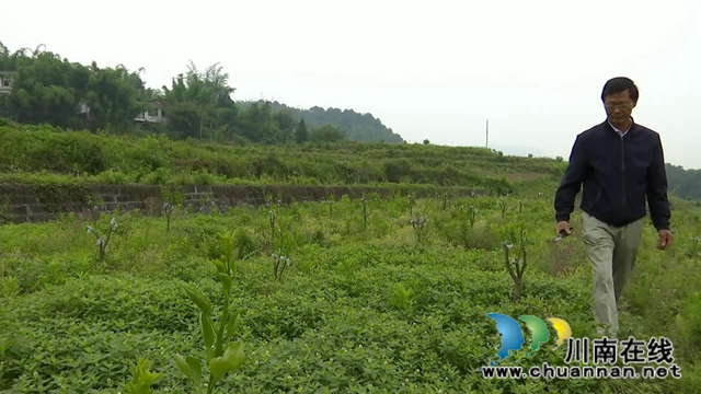 合江回洞橋村：脫貧路上奔小康，鄉(xiāng)村振興向未來(lái)(圖3)