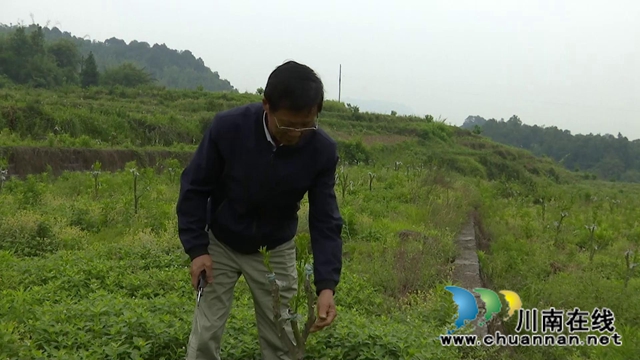 合江回洞橋村：脫貧路上奔小康，鄉(xiāng)村振興向未來(lái)(圖2)