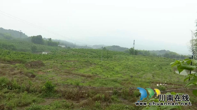 合江回洞橋村：脫貧路上奔小康，鄉(xiāng)村振興向未來(lái)(圖4)