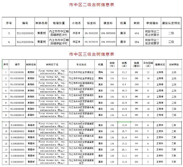 圍觀！內江這些“老古董”有了“身份證”(圖9)