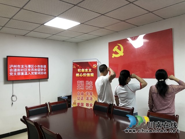 龍馬潭區(qū)小市街道合道街社區(qū)黨員和諧協(xié)會(huì)黨支部開(kāi)展固定黨日活動(dòng)