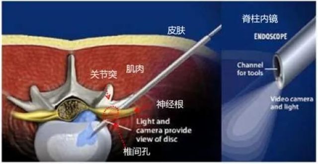 全國(guó)科技工作者日，瀘州福欣醫(yī)院三名醫(yī)務(wù)人員獲縣科協(xié)領(lǐng)導(dǎo)上門慰問(圖5)