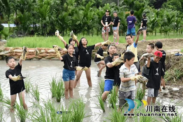 水美上馬?好享納溪||首屆“中國·麒麟水鎮(zhèn)”鄉(xiāng)村文化旅游季正式啟動！(圖9)