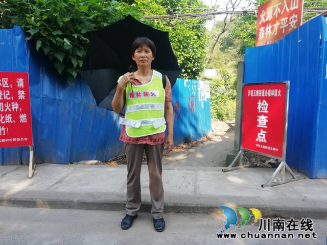 瀘縣玉蟾街道：積極開展森林防滅火工作，筑牢安全“防火墻”(圖3)