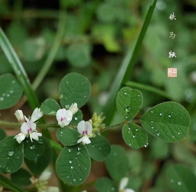 【關(guān)注】一碗湯下肚，70歲大爺昏迷入院？(圖10)