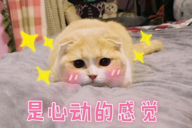 【速轉(zhuǎn)】抖音上推薦的美白牙膏全是騙局？美白的真相是……(圖10)