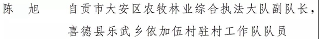 自貢多個集體和個人榮獲全省脫貧攻堅先進表揚！(圖4)