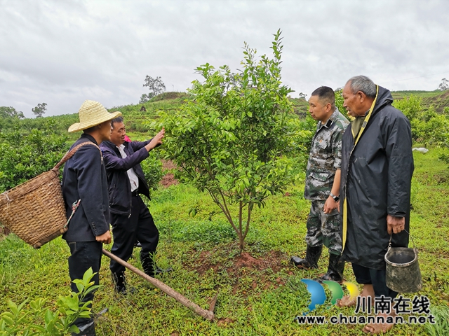 瀘縣太伏鎮(zhèn)：駐村工作隊成為沙河村“泥腿子”脫貧領(lǐng)路人(圖2)
