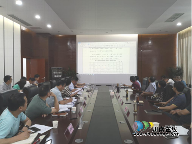 瀘州市召開“三調(diào)”初始調(diào)查成果數(shù)據(jù)分析研討會(圖2)