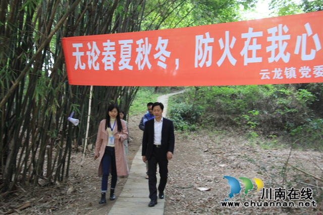 瀘縣云龍鎮(zhèn)：多措并舉全力筑牢森林防火防線(圖3)