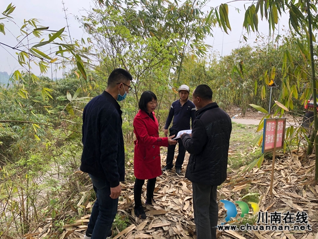 瀘縣云龍鎮(zhèn)：多措并舉全力筑牢森林防火防線(圖4)
