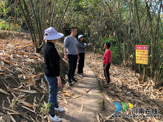 瀘縣云龍鎮(zhèn)：多措并舉全力筑牢森林防火防線(圖5)