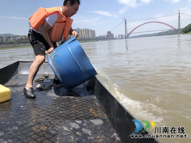 合江：抓好增殖放流工作，助推水域生態(tài)建設(shè)(圖4)