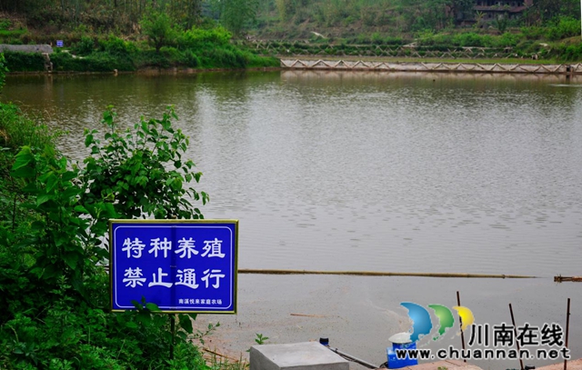 宜賓南溪區(qū)長興鎮(zhèn)慶林村：狠抓產(chǎn)業(yè)發(fā)展著力打造鄉(xiāng)村振興示范村(圖2)