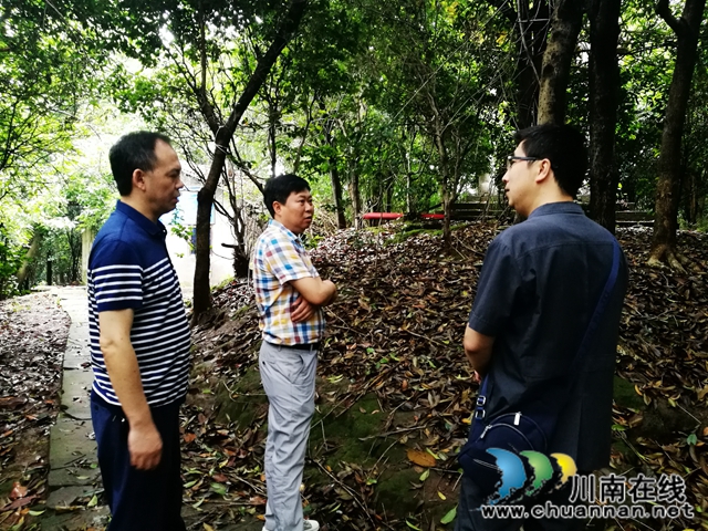 涉金融專項(xiàng)執(zhí)行高潮再起！納溪法院依法”活封“703株景觀樹(shù)
