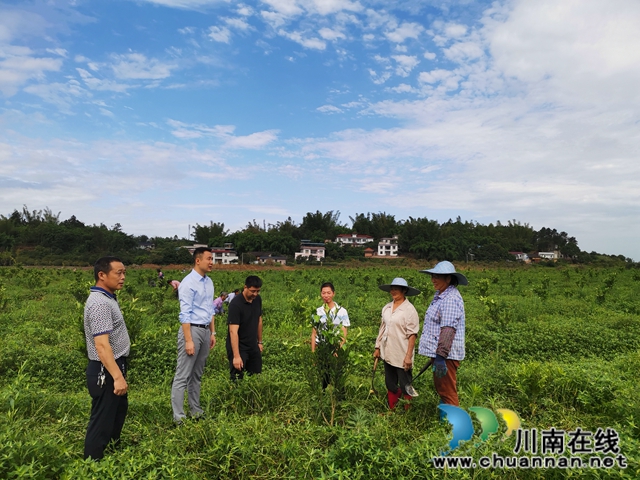 瀘縣海潮鎮(zhèn)：駐村工作隊找來脫貧路，村民當(dāng)上產(chǎn)業(yè)工人圓了致富夢(圖1)