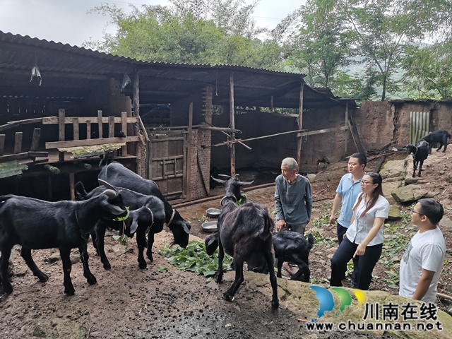 瀘縣太伏鎮(zhèn)：駐村工作隊(duì)添動(dòng)力  脫貧產(chǎn)業(yè)落地開花