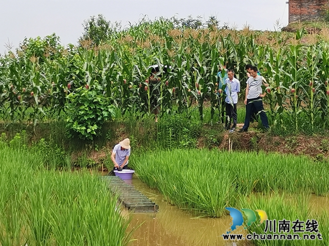 瀘縣天興鎮(zhèn)志城村：辦市場、興產(chǎn)業(yè)、育能人 駐村工作隊(duì)的三大脫貧法寶(圖2)