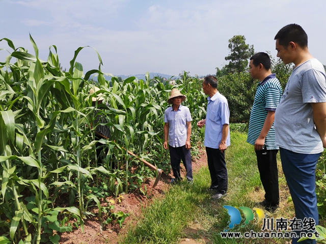 瀘縣天興鎮(zhèn)志城村：辦市場、興產(chǎn)業(yè)、育能人 駐村工作隊(duì)的三大脫貧法寶(圖4)