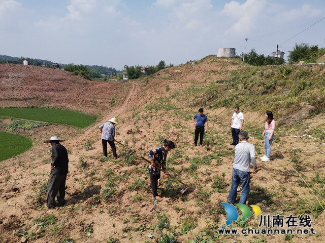 瀘縣天興鎮(zhèn)板栗村駐村工作隊(duì)：用心用情真幫扶 唱響山村脫貧曲(圖3)