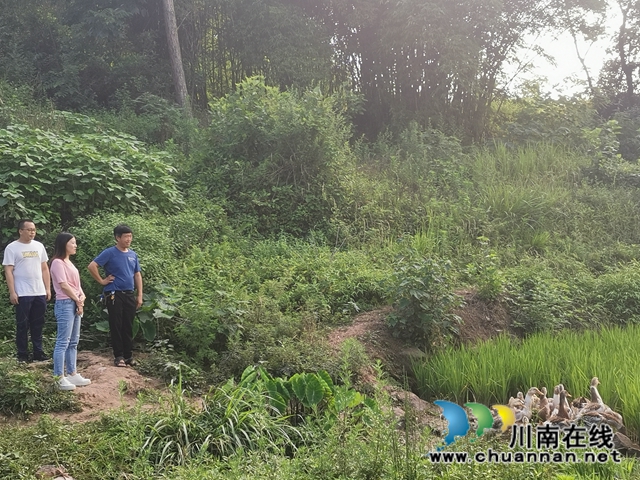 瀘縣天興鎮(zhèn)板栗村駐村工作隊(duì)：用心用情真幫扶 唱響山村脫貧曲(圖5)
