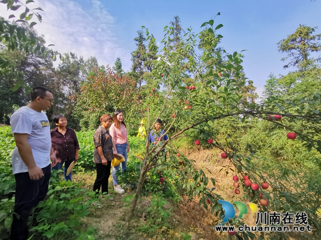 瀘縣天興鎮(zhèn)板栗村駐村工作隊(duì)：用心用情真幫扶 唱響山村脫貧曲(圖7)