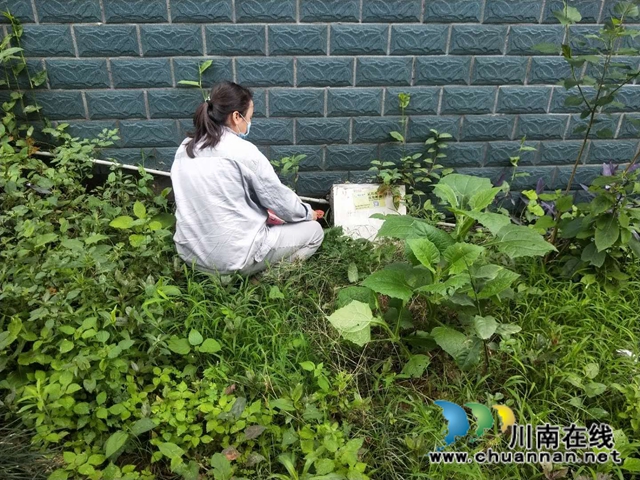 江陽區(qū)茜草街道沙坪社區(qū)開展地毯式“除四害”活動(dòng)