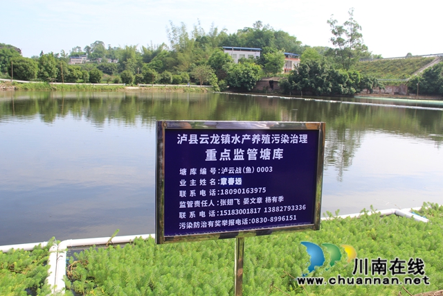 瀘縣云龍鎮(zhèn)：推動水產(chǎn)養(yǎng)殖生態(tài)治理，實現(xiàn)綠色健康養(yǎng)殖(圖3)