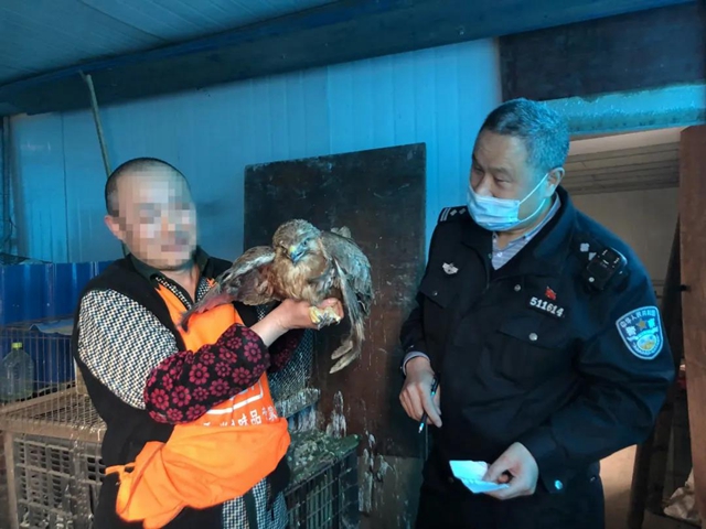 瀘州市公安局森林警察支隊(duì)授牌！３月以來(lái)破獲陸生野生動(dòng)物案件88件(圖7)