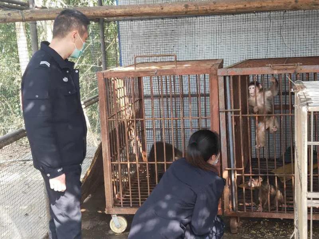 瀘州市公安局森林警察支隊(duì)授牌！３月以來(lái)破獲陸生野生動(dòng)物案件88件(圖15)