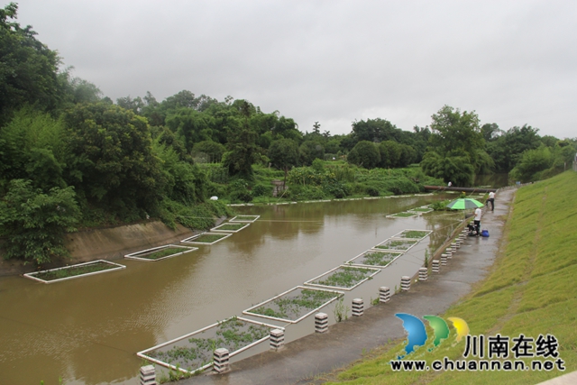 曹陽(yáng)率隊(duì)到瀘縣云龍鎮(zhèn)督導(dǎo)雨污分流管網(wǎng)建設(shè)工作(圖2)