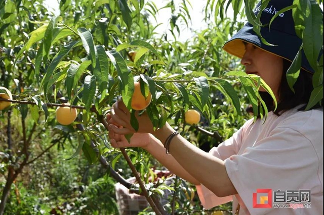 熱鬧！這兩個(gè)月自貢周周有活動(dòng)，總有一款適合你……(圖3)