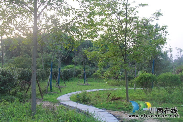 翹首期盼，瀘縣云龍健康公園建設(shè)進入倒計時(圖1)