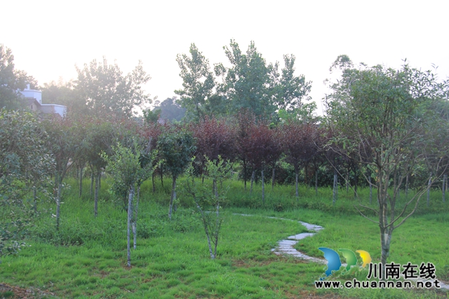 翹首期盼，瀘縣云龍健康公園建設(shè)進入倒計時(圖3)